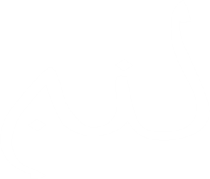AIWaziri Logo